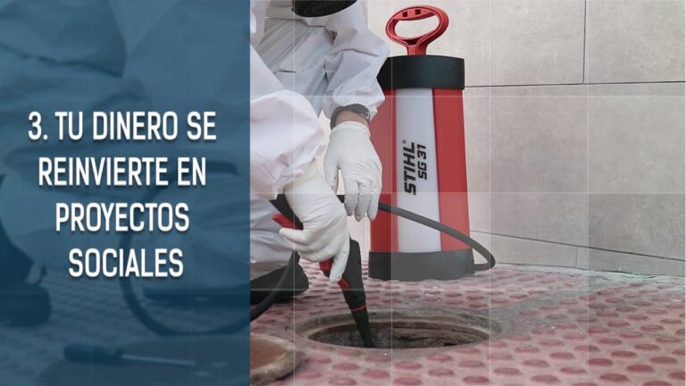 Empresas de Limpieza en Almería: Guía Completa