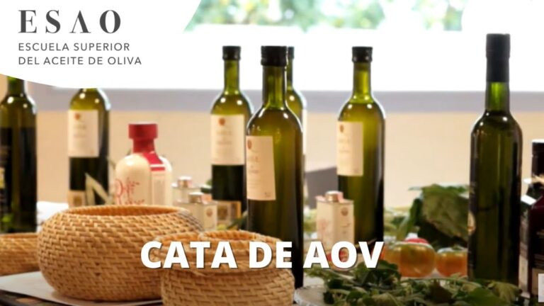 Catas de Aceite en Almer&iacute;a: Mejores Lugares para Disfrutar
