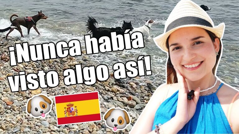 Playas para perros cerca de Tabernas: Gu&iacute;a completa
