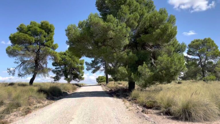 Actividades al Aire Libre Cerca de Vélez-Blanco