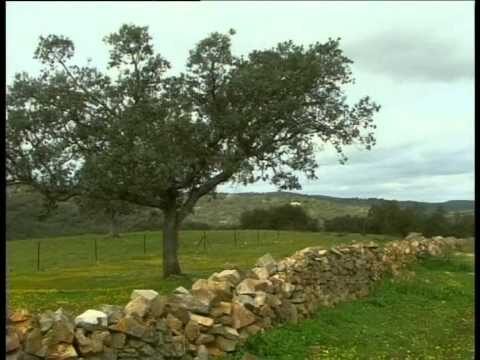 Opciones de ayuda para el pago de la luz en G&eacute;rgal
