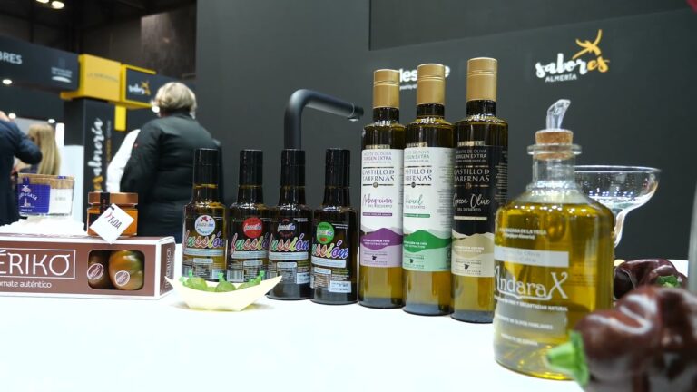 Mercados Ecológicos en Gérgal: Dónde Encontrarlos