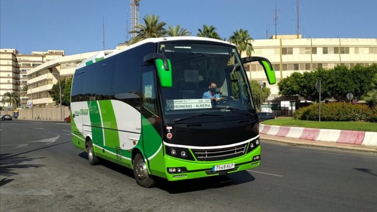 Gu&iacute;a para Moverse por Carboneras en Transporte P&uacute;blico
