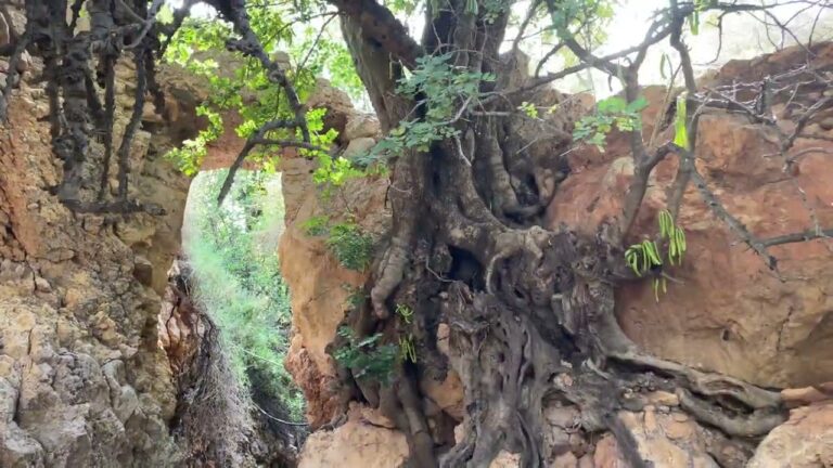 Rutas Naturales Cercanas a Níjar