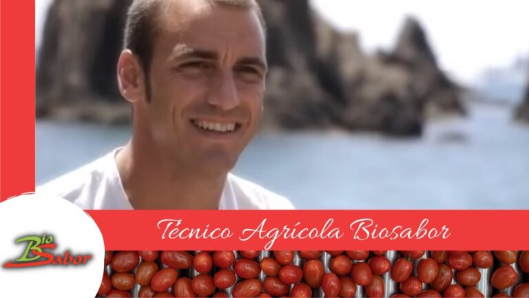 Mercados Ecol&oacute;gicos en Sorbas: D&oacute;nde Encontrarlos