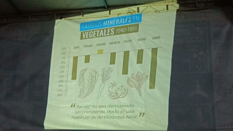 Gu&iacute;a para Comprar Libros en V&eacute;lez-Blanco